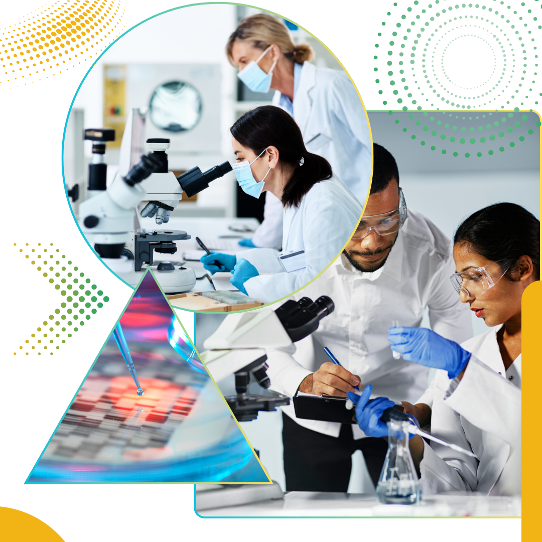 R&D Lab